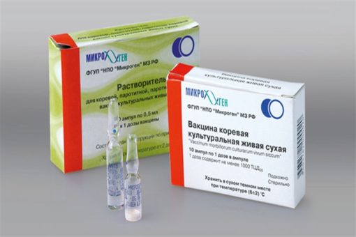 papilloma vakcina kor